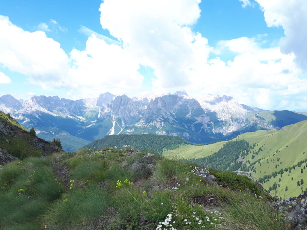 pozza di fassa